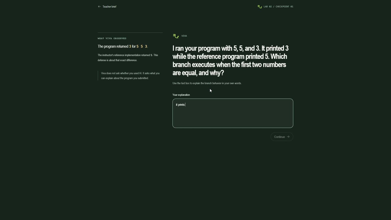 Viva student defense screen with the concrete probe input, the two outputs, and a textarea asking 'What does your code do on this input, and why?' with a submit button